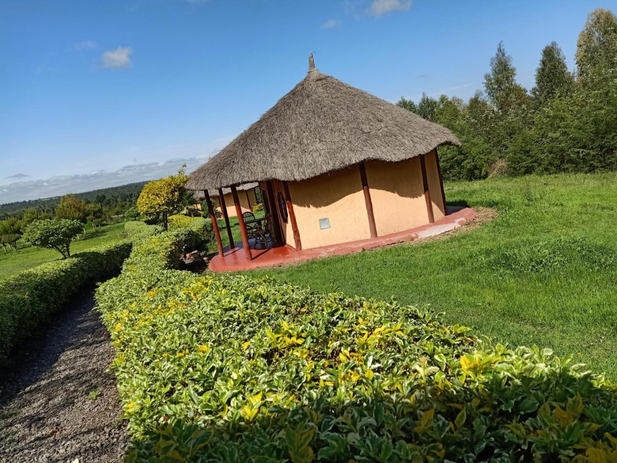 The Great Circle Lodge Nanyuki Ngoại thất bức ảnh