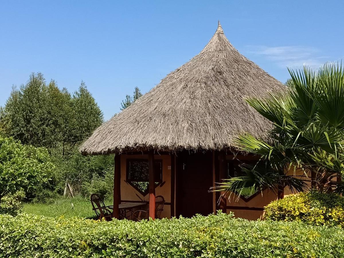 The Great Circle Lodge Nanyuki Ngoại thất bức ảnh