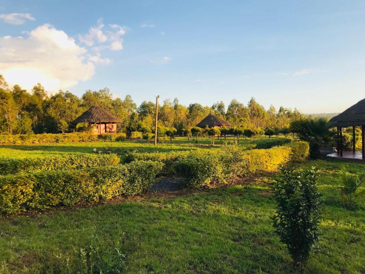 The Great Circle Lodge Nanyuki Ngoại thất bức ảnh